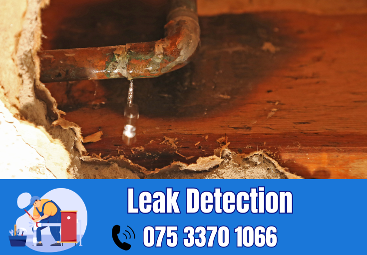 leak detection Northfleet