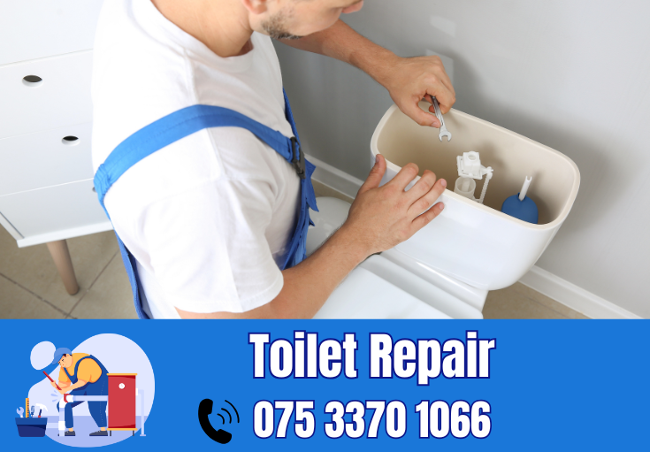 toilet repair Northfleet